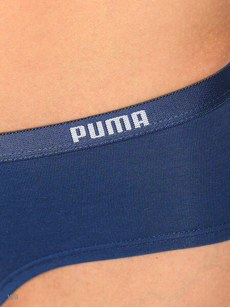 Трусы ICONIC HIPSTER 2P Puma 3746058