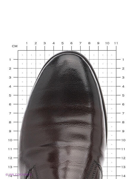 Туфли Carlo Bellini 3248043