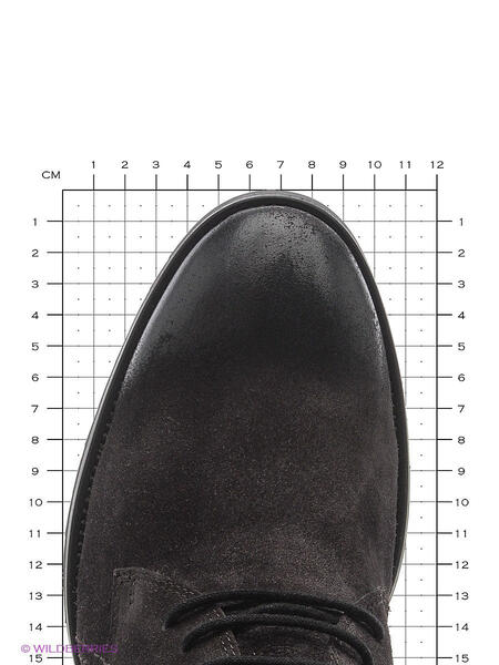 Ботинки Carlo Bellini 3248041
