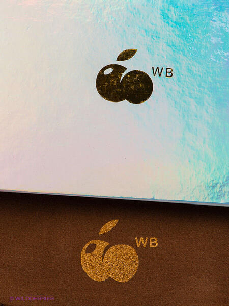 Чехол для iPhone 6+ WB 1853322