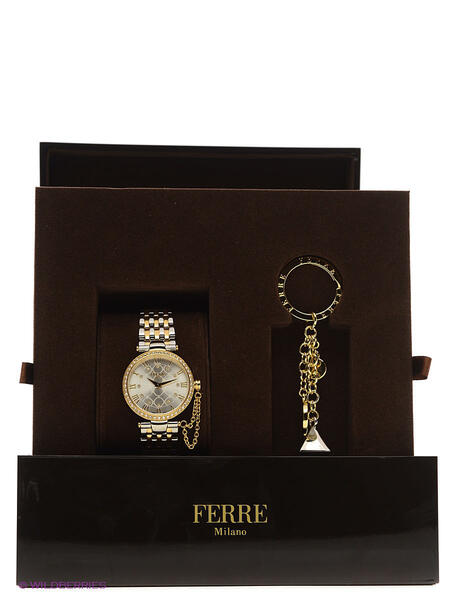 Часы FERRE MILANO 3025241