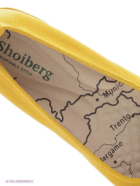 Балетки Shoiberg 2839259