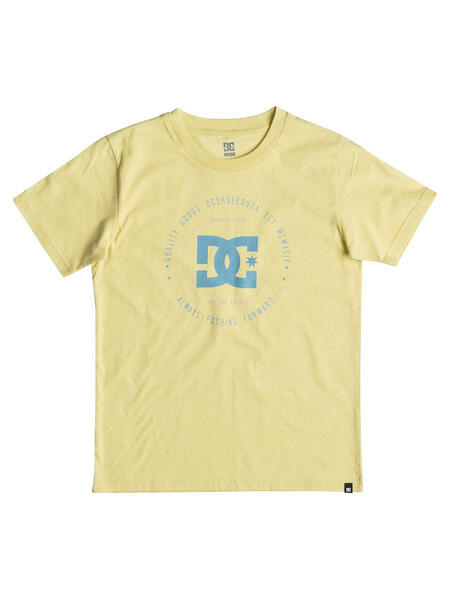 Футболка DC Shoes 4076763