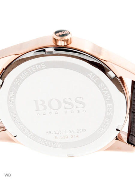 Часы Hugo Boss 3983394