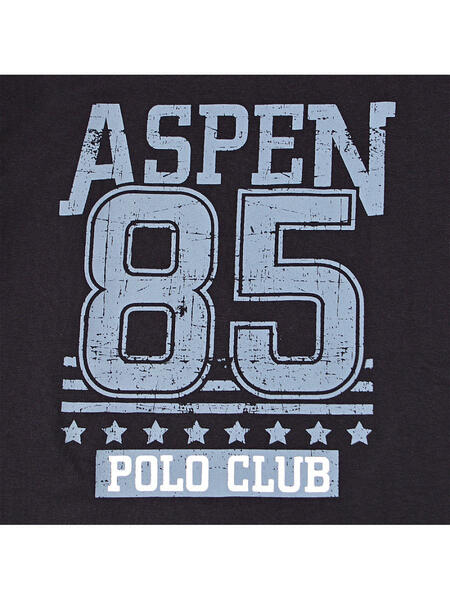 Футболка ASPEN POLO CLUB 4011856