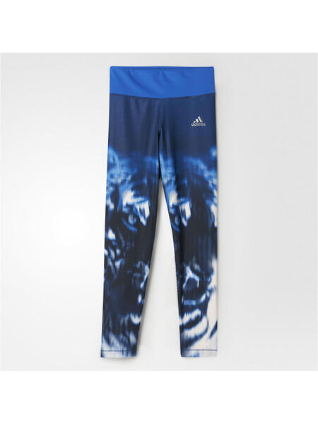 Тайтсы YG TR TIG TIGHT Adidas 4039229