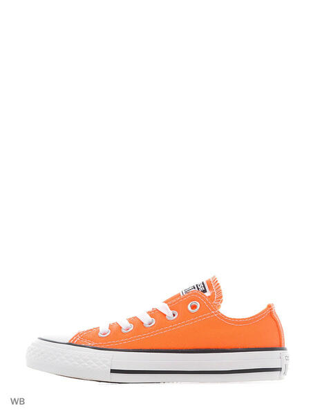 Кеды Chuck Taylor All Star Converse 3920994