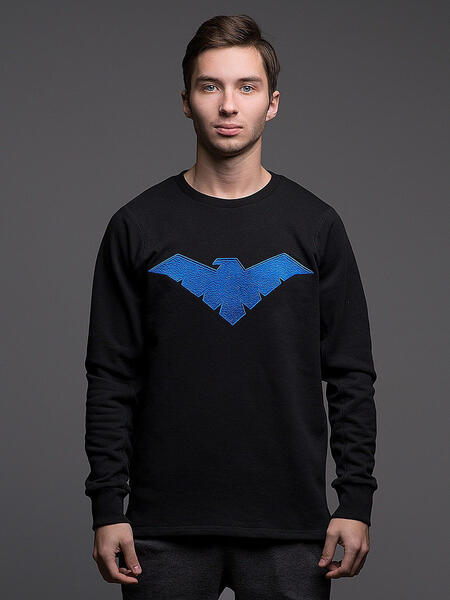 Свитшот Nightwing Индивид 3945970