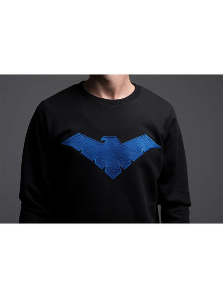 Свитшот Nightwing Индивид 3945970