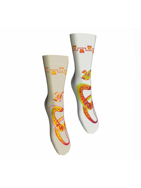 Носки, 2 пары Master Socks 3581138