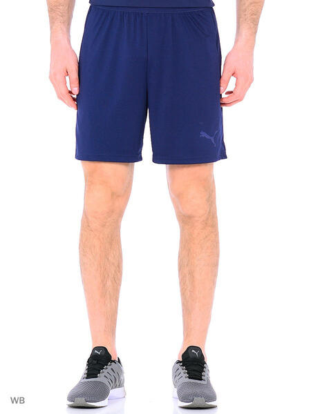 Шорты IT evoTRG Shorts Puma 3995153