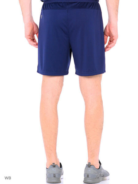 Шорты IT evoTRG Shorts Puma 3995153