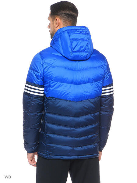 Куртка Adidas 3905621