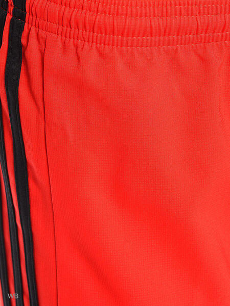 Спортивные шорты Adidas 3905736