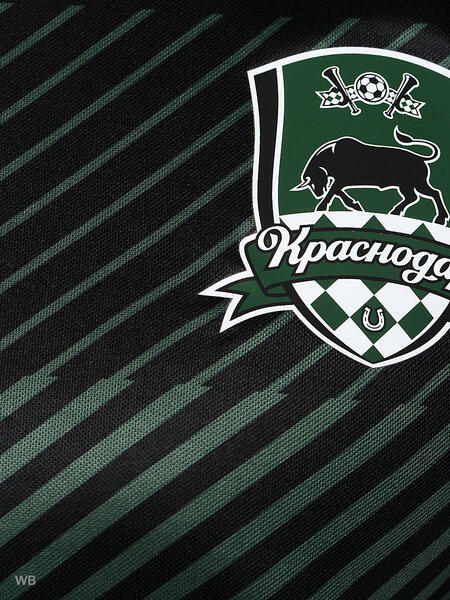 Лонгслив Krasnodar Home Away LS Shirt Puma 3758432