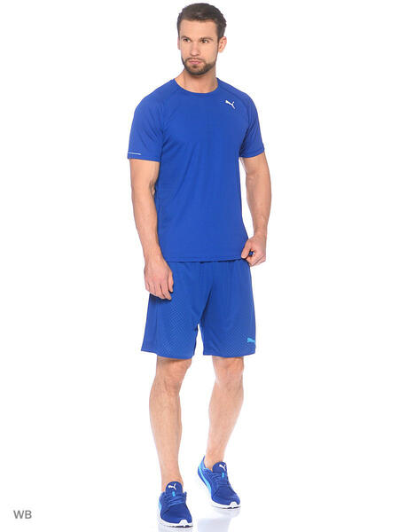 Шорты IT evoTRG Shorts Touch Puma 3727122