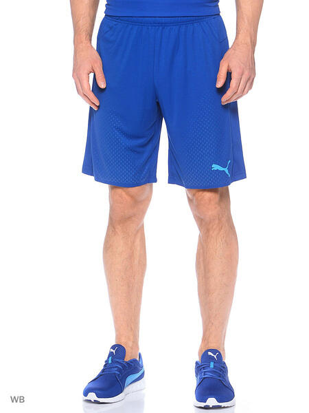 Шорты IT evoTRG Shorts Touch Puma 3727122