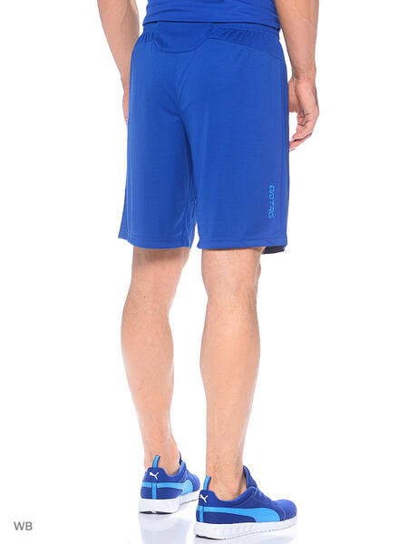 Шорты IT evoTRG Shorts Touch Puma 3727122