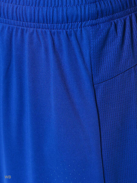 Шорты IT evoTRG Shorts Touch Puma 3727122