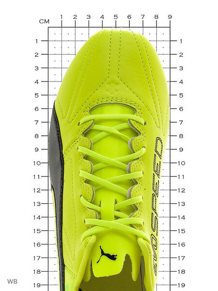 Бутсы evoSPEED 17.SL Lth FG Puma 3729934