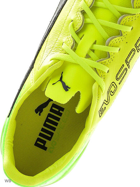 Бутсы evoSPEED 17.SL Lth FG Puma 3729934