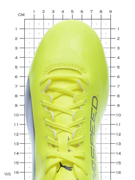 Бутсы evoSPEED 17.4 FG Puma 3682483