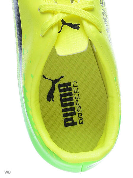 Бутсы evoSPEED 17.4 FG Puma 3682483