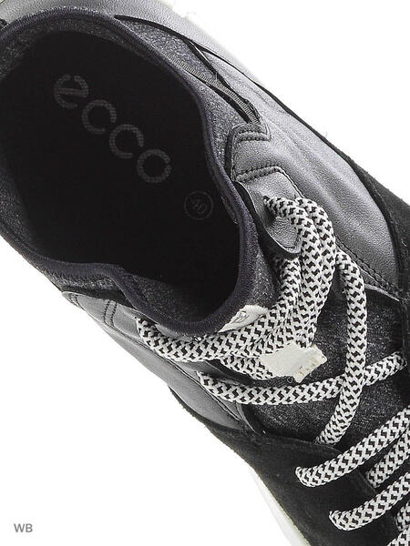 Кеды ECCO 3672165