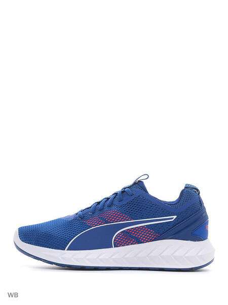 Кроссовки IGNITE Ultimate 2 Puma 3660407