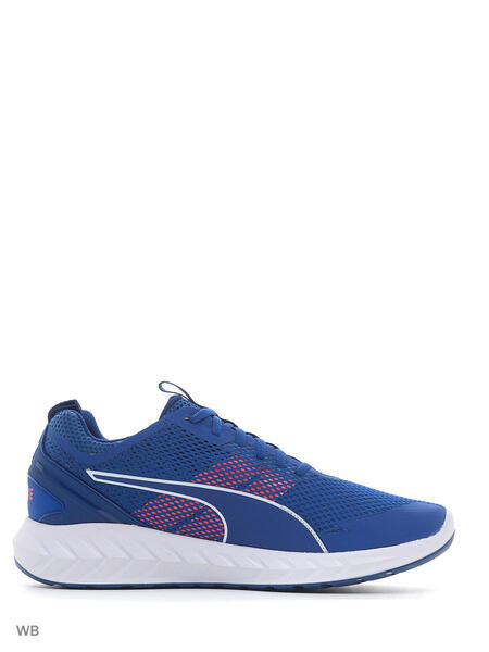 Кроссовки IGNITE Ultimate 2 Puma 3660407