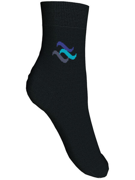 Носки, 2 пары Master Socks 3581136