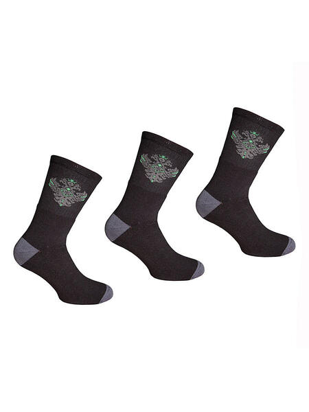 Носки 3 пары Master Socks 3581139