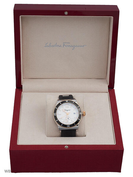 Часы Salvatore Ferragamo 3224385