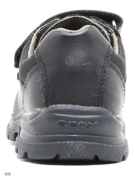 Ботинки Geox 1453366