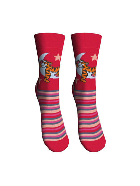 Носки, 2 пары Master Socks 3120165