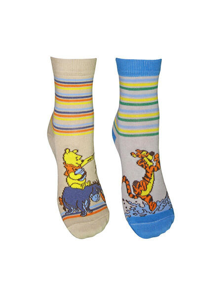 Носки, 2 пары Master Socks 3120158