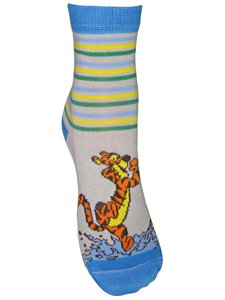 Носки, 2 пары Master Socks 3120158