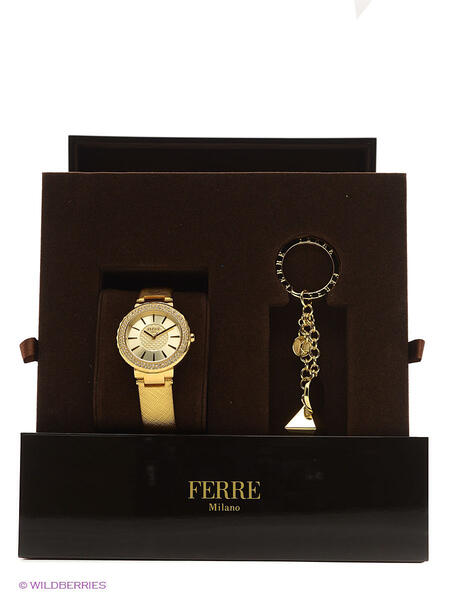 Часы FERRE MILANO 3025249