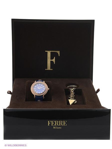 Часы FERRE MILANO 3025225