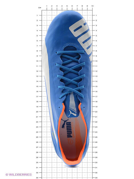 Бутсы evoSPEED SL FG Puma 2853056