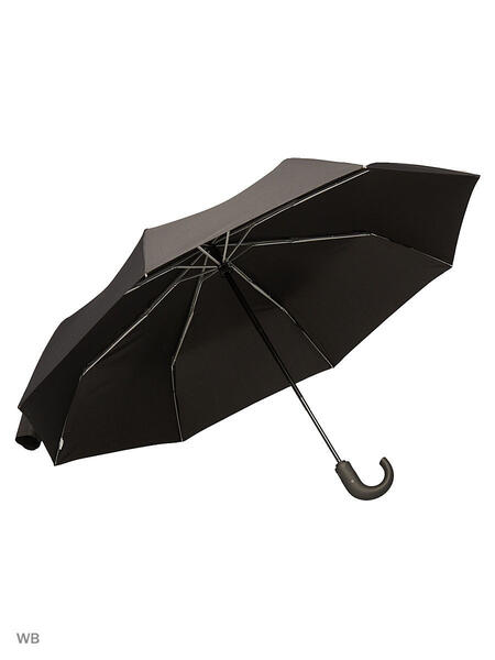 Зонты Isotoner 2020256
