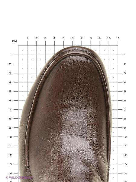 Ботинки Franco Bellucci 2560099
