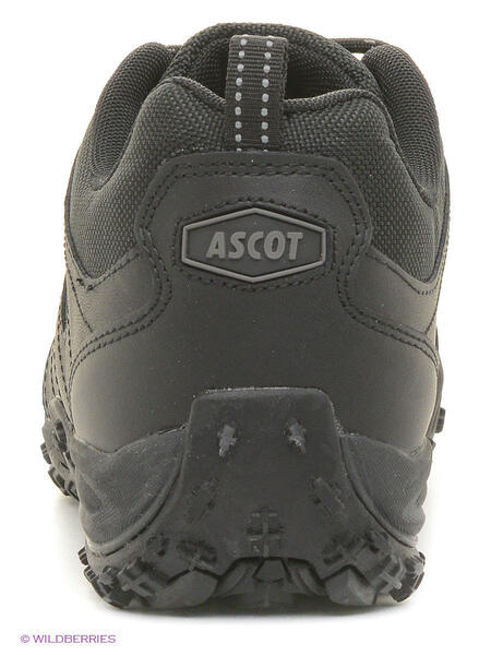 Ботинки Ascot 2326299