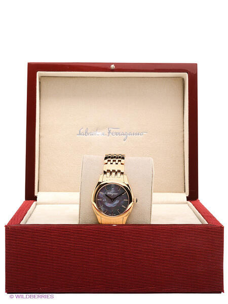 Часы Salvatore Ferragamo 1839119