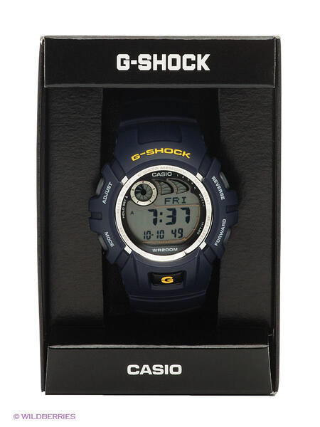 Часы G-SHOCK G-2900F-2V Casio 1732982