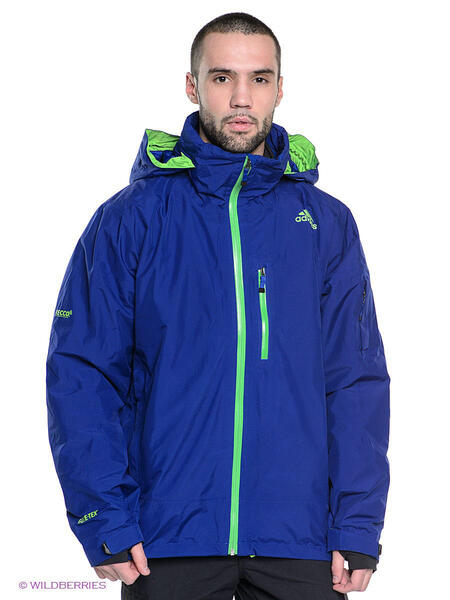 Куртка Men's Winter 2L Gtx Jacket Hero Adidas 1199154