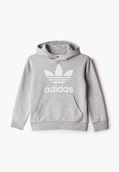 Худи Adidas AD093EBJLVW6CM140