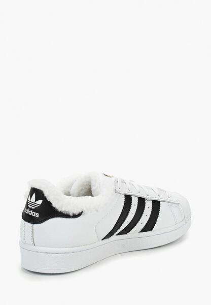 Кеды Adidas AD093AWDGIS1B040