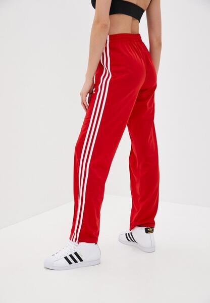 Красные спортивные штаны женские