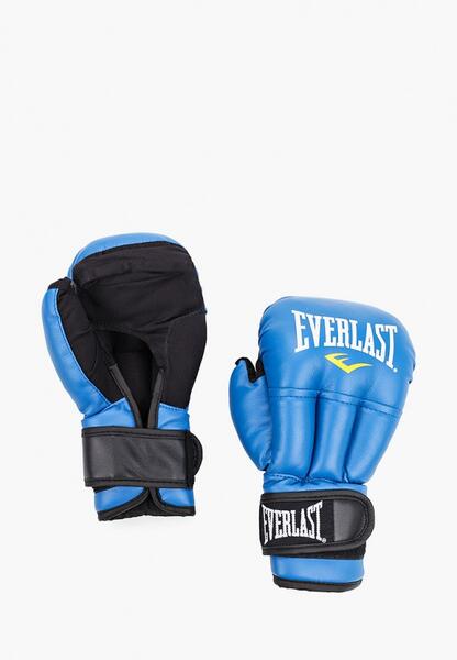 Перчатки боксерские Everlast RTLAAD441201OZ080